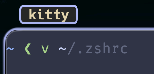 zsh-autosuggestions